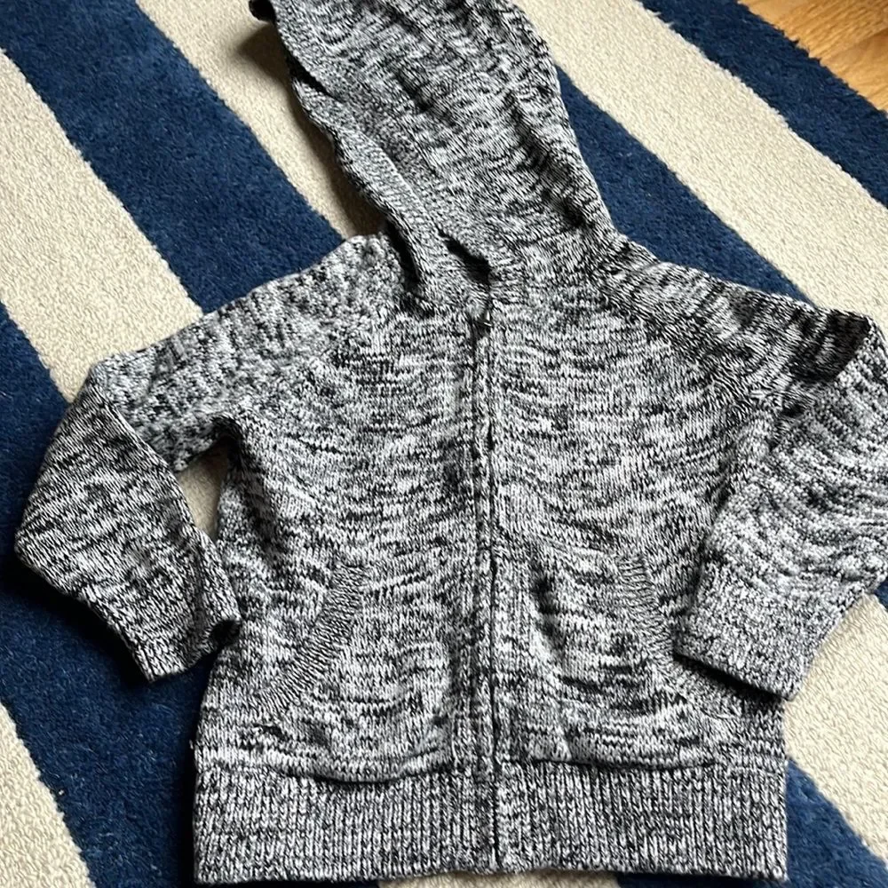 Gap boys hooded sweater